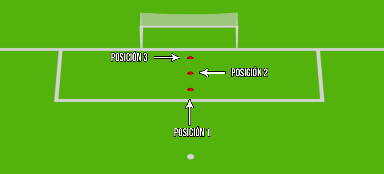 Activación neuromuscular diseño