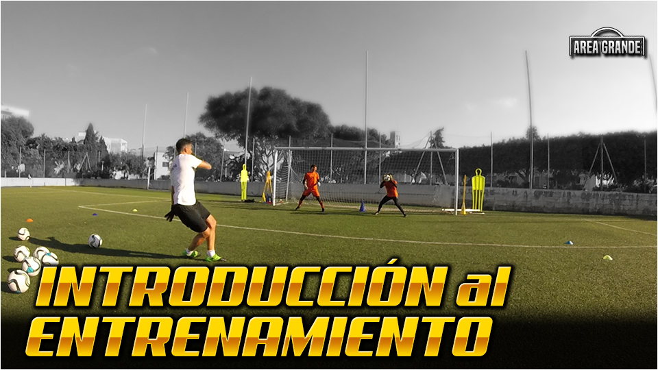 ejercicios entrenamiento arqueros